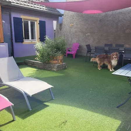 Les Terrasses Du Zinnkoepfle Westhalten